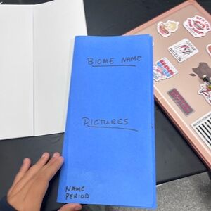 PacSun Blue Men's Belt - Classic Solid Blue